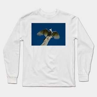 It's Windy Up Here Long Sleeve T-Shirt